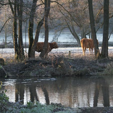Le Gite De L Ourthe Ortheuville Bagian luar foto