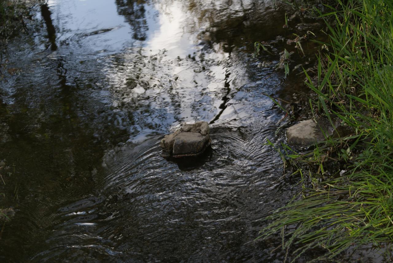 Le Gite De L Ourthe Ortheuville Bagian luar foto