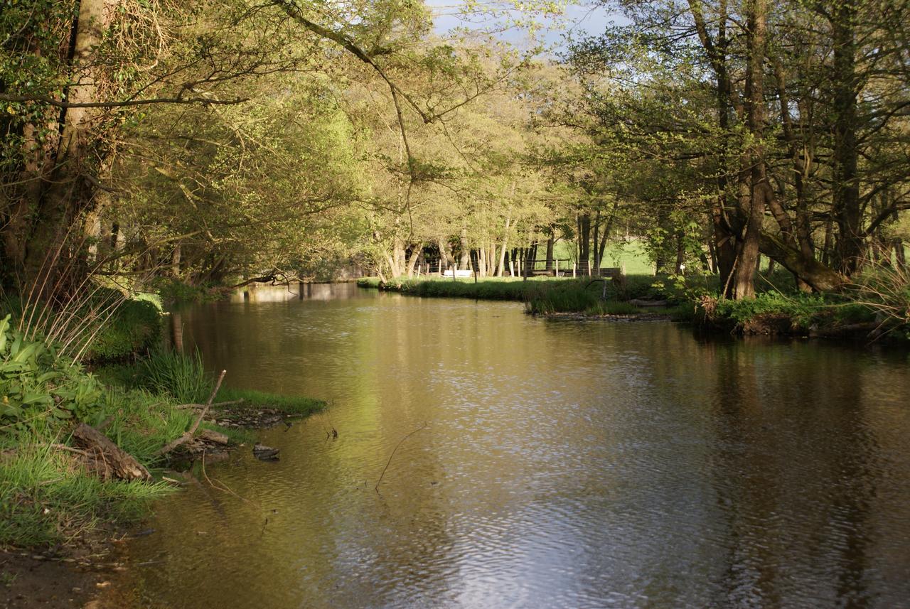 Le Gite De L Ourthe Ortheuville Bagian luar foto