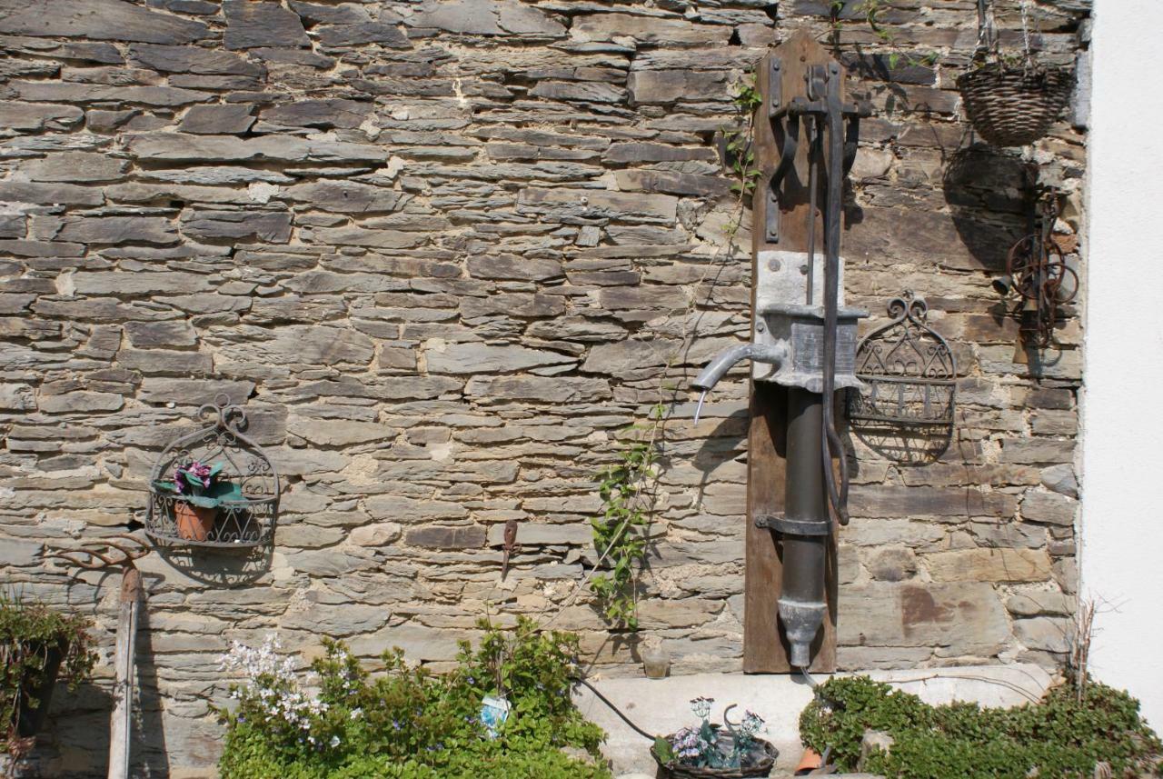 Le Gite De L Ourthe Ortheuville Bagian luar foto
